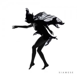 Read more about the article SIAMESE – s/t