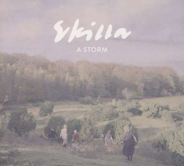 You are currently viewing SKILLA – A storm