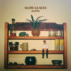 Read more about the article SLOW LEAVES – Shelf life