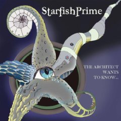 Read more about the article STARFISH PRIME – The architect wants to know