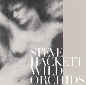 Read more about the article STEVE HACKETT – Wild orchids